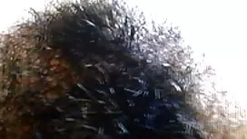 الساقين رقيقة صور اف ...