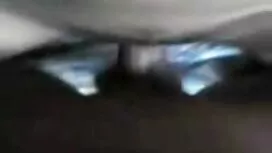 أوكرانيا التطريز تي  ...