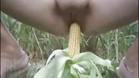 أبيض وأسود من ضمادة  ...