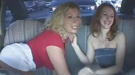 مثالي, ابن, صديقة, 1 ...